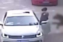 Khoảnh khắc kinh hãi người phụ nữ bị hổ tấn công trong vườn thú