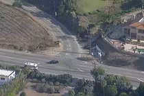 Đang cho gà ăn trong sân, bé gái bị sư tử lao vào tấn công