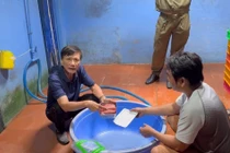 Thủ đoạn 'phù phép' thịt lợn sề thành thịt nhím, nai, bắp dê Úc