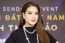 Trương Ngọc Ánh từng điều hành loạt doanh nghiệp trăm tỷ