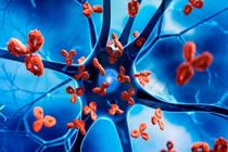 Liệu pháp mới thử nghiệm điều trị bệnh tự miễn