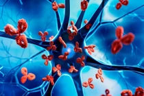 Liệu pháp mới thử nghiệm điều trị bệnh tự miễn