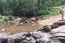 Trên đường về nhà gặp lũ, 4 người trong một gia đình tử vong