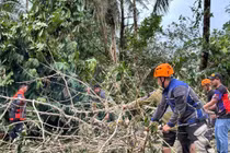 Bão Kalmaegi đổ bộ vào Philippines, hàng nghìn người sơ tán