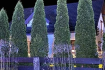 Phát hiện thi thể 3 mẹ con trong bể phốt ở Ba Lan