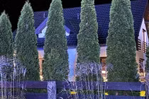 Phát hiện thi thể 3 mẹ con trong bể phốt ở Ba Lan