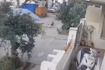 Đang chơi trong khu dân cư, bé gái bị chó hoang tấn công