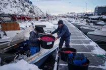 Cuộc sống thường nhật của người dân ở vùng đất Greenland