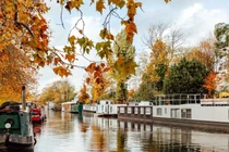 Ấn tượng trước cảnh sắc mùa thu ở thủ đô nước Anh