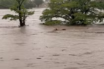 Lũ quét ở Texas khiến hơn 260 người thiệt mạng, mất tích