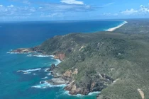 Cô gái trẻ tử vong vì bị cá mập tấn công tại bãi biển Australia