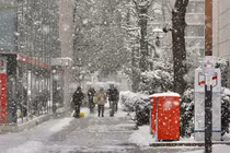 Hình ảnh tuyết phủ trắng xóa ở Nhật Bản trong mùa đông lạnh giá