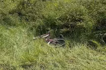 Phát hiện thi thể nam giới bị xích vào cây giữa cánh đồng hoang