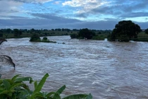 Lũ lụt ở Niger, hơn 120 người thiệt mạng