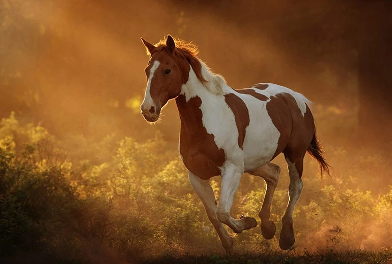 Ai khó mặc ai, 3 con giáp dễ kiếm tiền nhất trong tháng 3