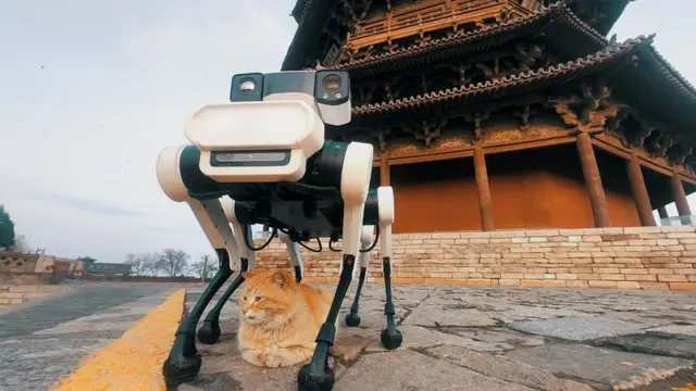 Tận mục chó robot AI bảo vệ di tích ngàn năm tuổi 