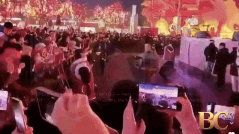 Trong video ghi lại cho thấy, robot Unitree H1 vẫn mặc trên người cái áo hoa quen thuộc nhưng dường như gặp phải trục trặc nào đó khiến nó "nổi điên" với hành vi không ai ngờ tới.