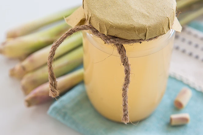 Những tác dụng của cây sả như thần dược với sức khỏe 