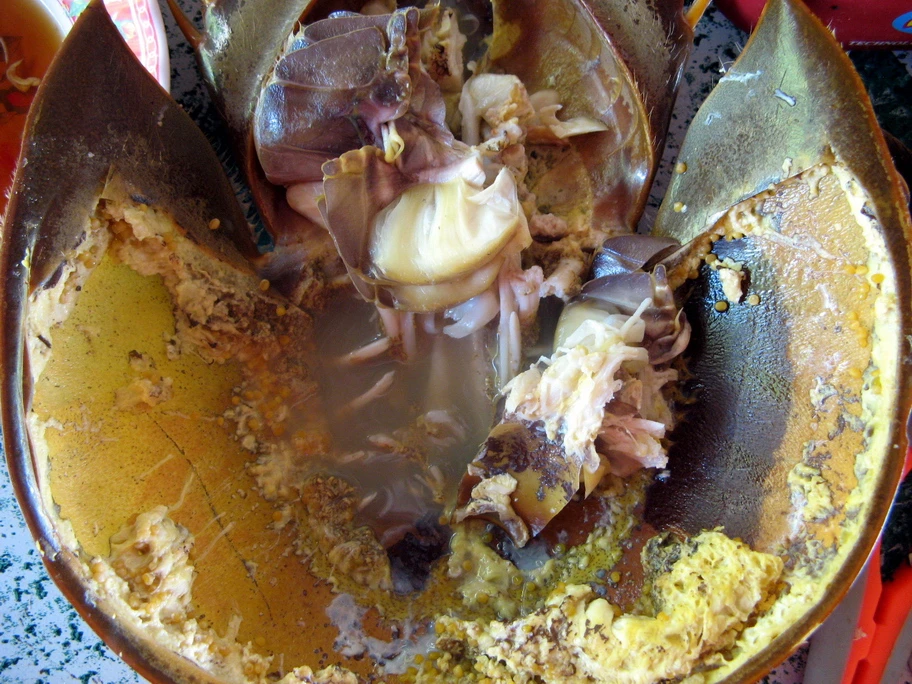 Lạ miệng, khó quên hương vị món sam biển