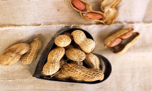 Bài thuốc chữa bệnh an toàn hiệu quả từ hạt lạc