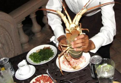 Siêu độc món tiết canh tôm hùm đặc sản