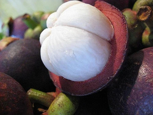 Cách chọn măng cụt ngon, không bị thối hỏng