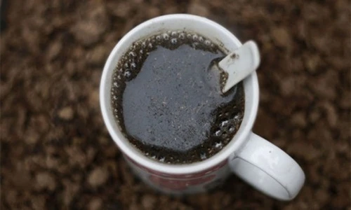 Bài thuốc chữa bệnh từ... phân động vật