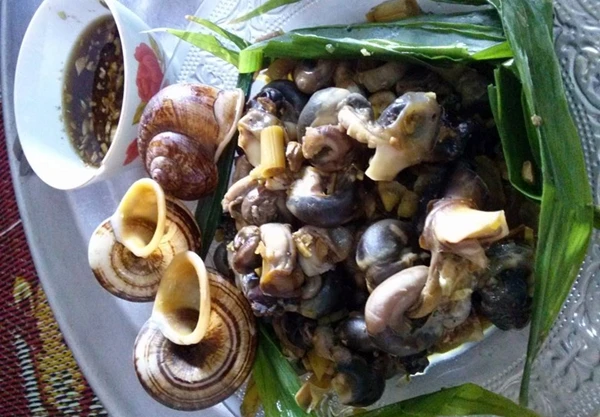Hít hà ốc thuốc vị cây rừng