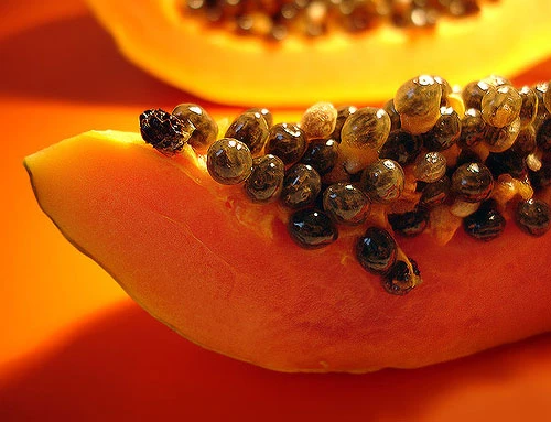 Tuyệt chiêu chọn đu đủ ngọt đậm đà, không bị sượng