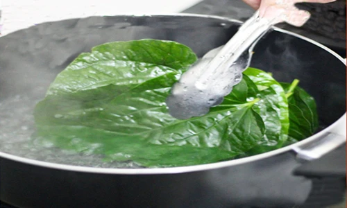 Lá lốt: trị viêm ngứa vùng kín an toàn, hiệu quả