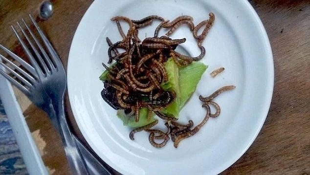 10 món ăn lạ lùng của các nhà hàng trên thế giới