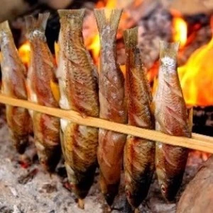 Đặc sản cá nướng Hồ Ba Bể ăn ngay tại hồ