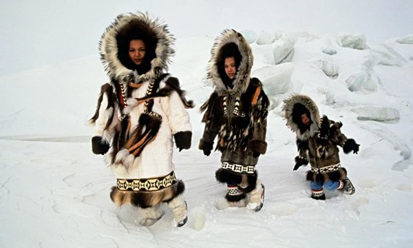 Khám phá xuân dược khiến người Eskimo “yêu” hừng hực