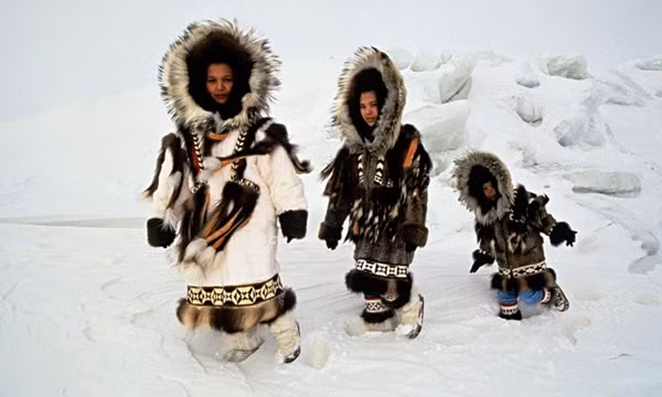 Khám phá xuân dược khiến người Eskimo “yêu” hừng hực 