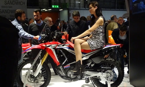 “Xế phượt” Honda CRF 250 Rally thách thức mọi địa hình