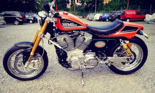 Harley-Davidson Sportster 1200 độ scrambler "hàng thửa"