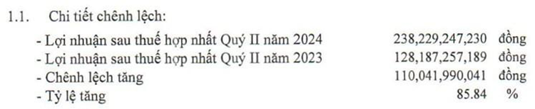Lợi nhuận sau thuế hợp nhất quý II/2024 của Nhựa Tiền Phong