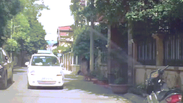 Chú chó chọn giới tính để sủa...