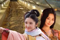 Đi tìm lăng mộ của vị tướng quân có 70 vợ, đội khảo cổ ngỡ ngàng