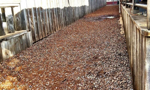 Tận mắt con đường toàn nắp chai ở Mỹ