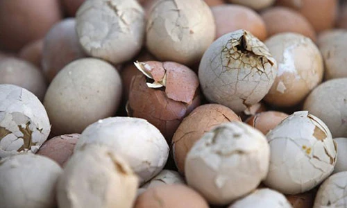 Trứng luộc nước tiểu – đặc sản kinh dị của Trung Quốc