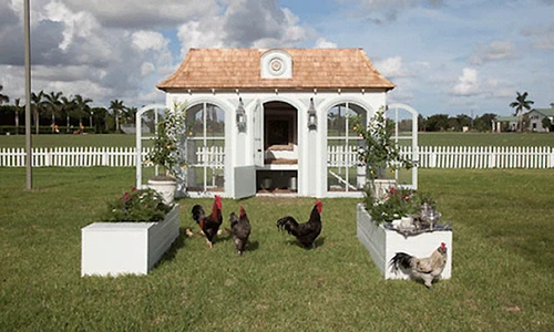 Trầm trồ 9 kiểu chuồng gà xa hoa như biệt thự 