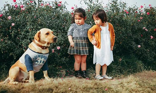 Xuýt xoa hình ảnh hai cô bé bụ bẫm sợ...chó