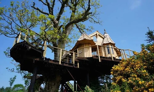 7 ngôi nhà trên cây như trong cổ tích