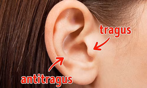 7 bộ phận cơ thể tưởng vô dụng nhưng lại rất hữu ích