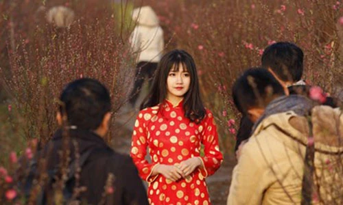 Thiếu nữ bên vườn đào lọt top ảnh ấn tượng nhất của Reuters