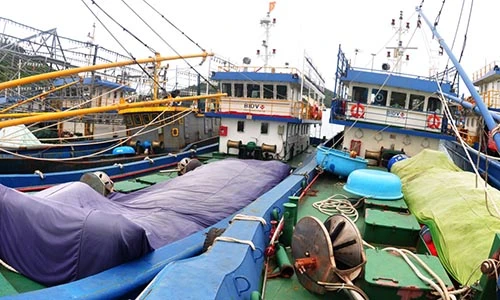 Đóng bằng thép Trung Quốc, tàu hàng chục tỷ nằm bờ