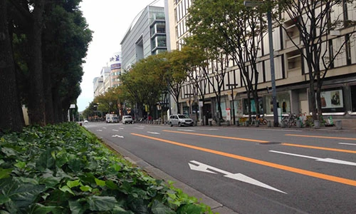 Một sớm bình yên nơi đô thị nhộn nhịp Nhật Bản