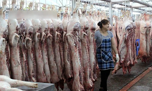 Trắng đêm ở chợ thịt heo lớn nhất Sài Gòn 