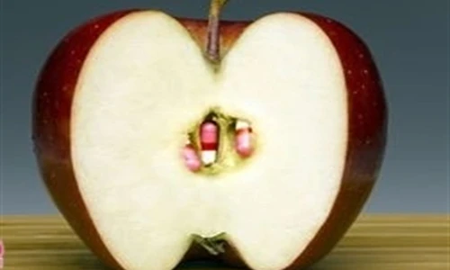 Những cách giấu ma túy bá đạo nhất nhưng vẫn bị phát hiện